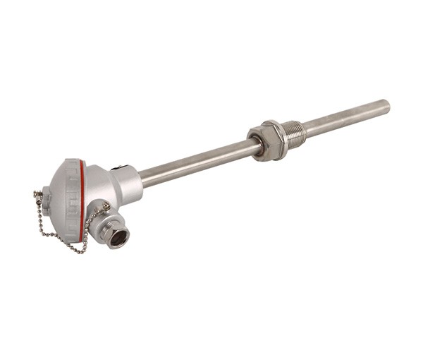 Assembly type thermocouple and RTD