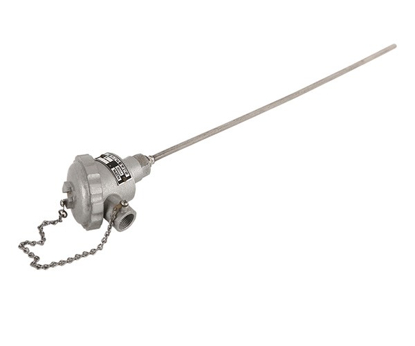 Sheathed thermocouples and RTD